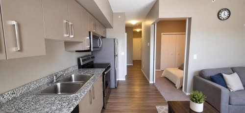 1609-4641 128 Avenue Ne, Calgary, AB - Indoor Photo Showing Kitchen With Double Sink
