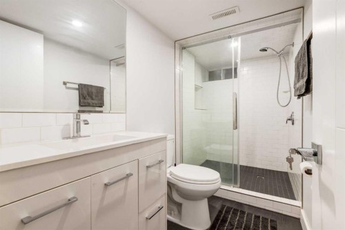 23 Sussex Crescent Sw, Calgary, AB - Indoor Photo Showing Bathroom