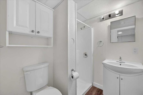 440 53 Avenue Sw, Calgary, AB - Indoor Photo Showing Bathroom