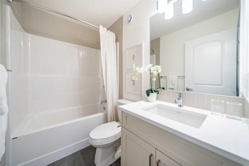 168 Creekstone Circle Sw, Calgary, AB - Indoor Photo Showing Bathroom