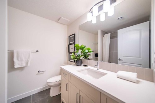 168 Creekstone Circle Sw, Calgary, AB - Indoor Photo Showing Bathroom