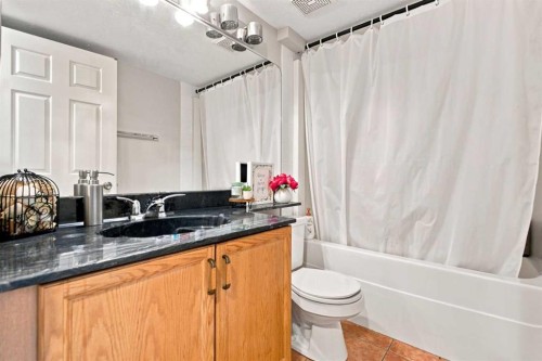 541 Citadel Meadow Bay Nw, Calgary, AB - Indoor Photo Showing Bathroom