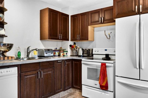 4726 44 Avenue Ne, Calgary, AB - Indoor Photo Showing Kitchen With Double Sink