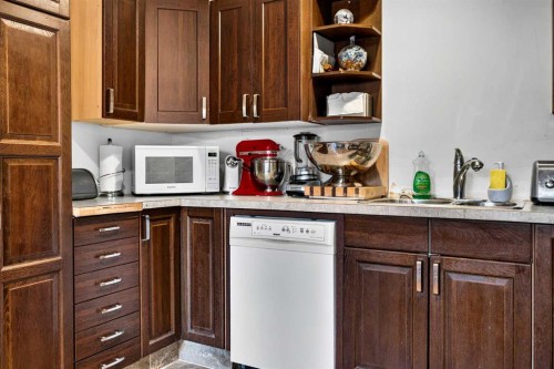 4726 44 Avenue Ne, Calgary, AB - Indoor Photo Showing Kitchen With Double Sink