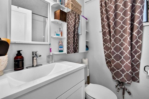 4726 44 Avenue Ne, Calgary, AB - Indoor Photo Showing Bathroom