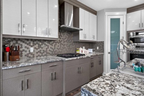 120 Castlegrove Road Ne, Calgary, AB - Indoor Photo Showing Kitchen With Upgraded Kitchen