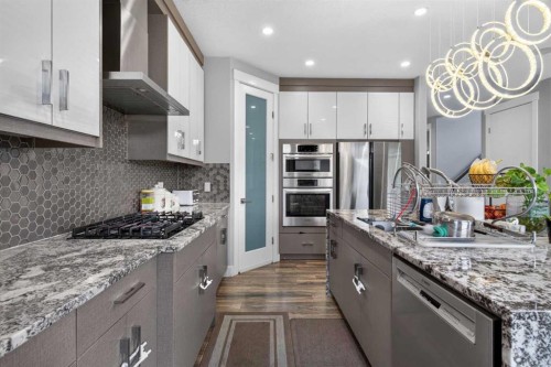 120 Castlegrove Road Ne, Calgary, AB - Indoor Photo Showing Kitchen With Upgraded Kitchen