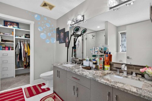 120 Castlegrove Road Ne, Calgary, AB - Indoor Photo Showing Bathroom