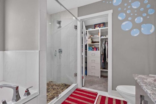 120 Castlegrove Road Ne, Calgary, AB - Indoor Photo Showing Bathroom