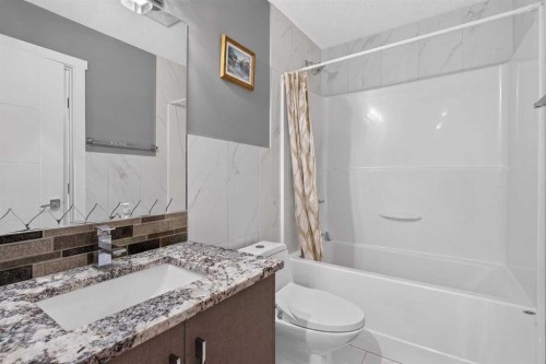 120 Castlegrove Road Ne, Calgary, AB - Indoor Photo Showing Bathroom