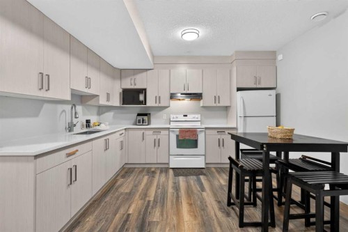 120 Castlegrove Road Ne, Calgary, AB - Indoor Photo Showing Kitchen