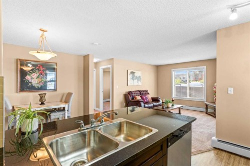 7202-403 Mackenzie Way Sw, Airdrie, AB - Indoor Photo Showing Kitchen With Double Sink