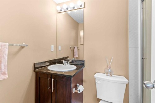 7202-403 Mackenzie Way Sw, Airdrie, AB - Indoor Photo Showing Bathroom