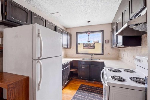 217 23 Avenue Ne, Calgary, AB - Indoor Photo Showing Kitchen With Double Sink