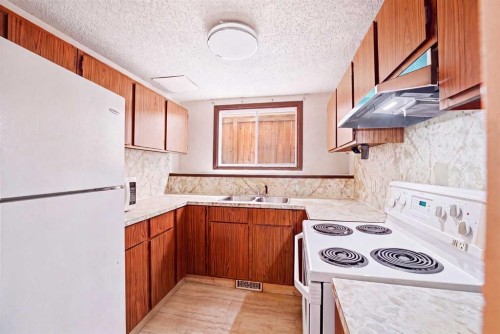 217 23 Avenue Ne, Calgary, AB - Indoor Photo Showing Kitchen With Double Sink