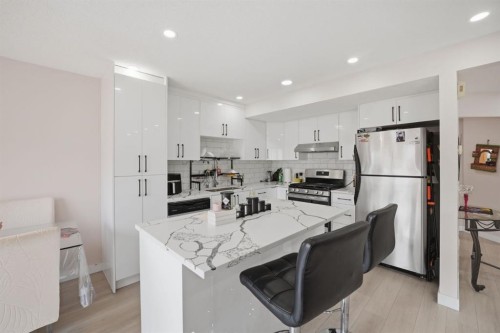 54 Saddlecreek Crescent Ne, Calgary, AB - Indoor Photo Showing Kitchen With Stainless Steel Kitchen With Upgraded Kitchen