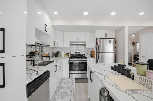 54 Saddlecreek Crescent Ne, Calgary, AB - Indoor Photo Showing Kitchen With Stainless Steel Kitchen With Double Sink