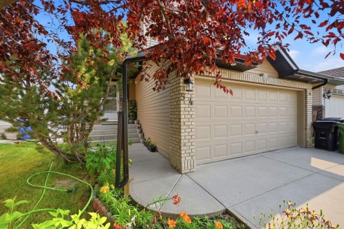 54 Saddlecreek Crescent Ne, Calgary, AB - Outdoor