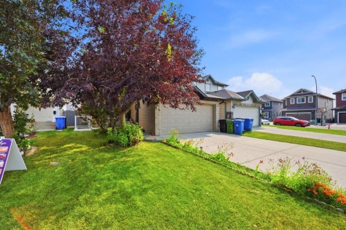 54 Saddlecreek Crescent Ne, Calgary, AB - Outdoor