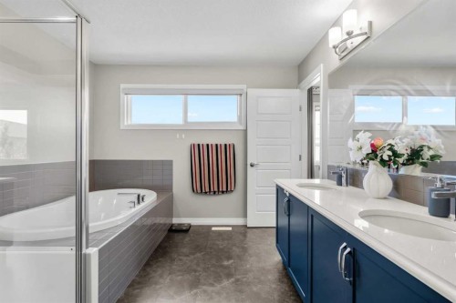 34 Seton Road Se, Calgary, AB - Indoor Photo Showing Bathroom