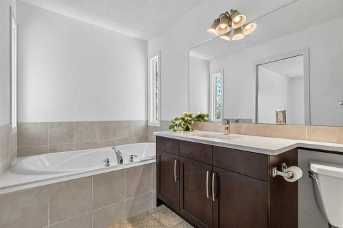 813 Prestwick Circle Se, Calgary, AB - Indoor Photo Showing Bathroom
