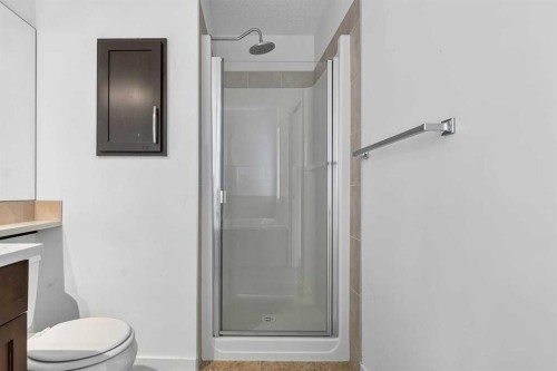 813 Prestwick Circle Se, Calgary, AB - Indoor Photo Showing Bathroom