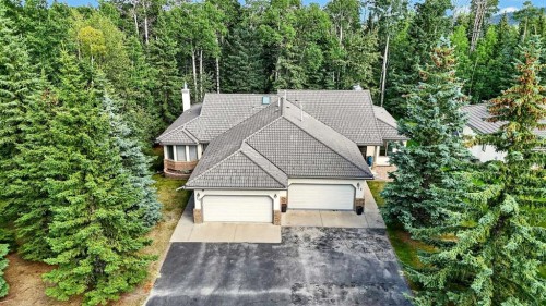 12 Sunset Way, Priddis Greens, AB - Outdoor