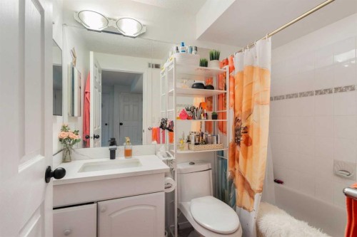 151 Citadel Close Nw, Calgary, AB - Indoor Photo Showing Bathroom