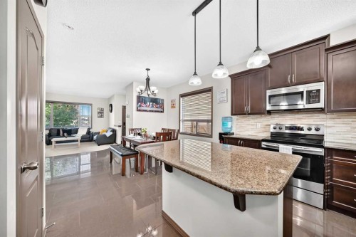 251 Skyview Point Road Ne, Calgary, AB - Indoor Photo Showing Kitchen With Stainless Steel Kitchen With Upgraded Kitchen