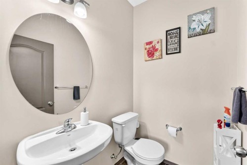 251 Skyview Point Road Ne, Calgary, AB - Indoor Photo Showing Bathroom