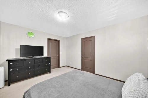 251 Skyview Point Road Ne, Calgary, AB - Indoor Photo Showing Bedroom