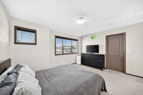 251 Skyview Point Road Ne, Calgary, AB - Indoor Photo Showing Bedroom
