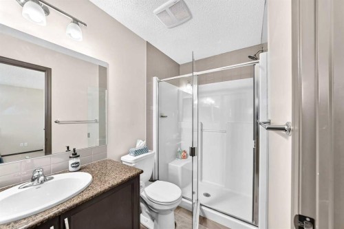 251 Skyview Point Road Ne, Calgary, AB - Indoor Photo Showing Bathroom