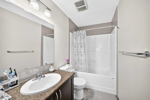 251 Skyview Point Road Ne, Calgary, AB - Indoor Photo Showing Bathroom