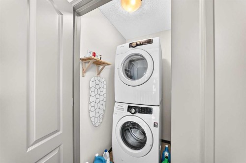 251 Skyview Point Road Ne, Calgary, AB - Indoor Photo Showing Laundry Room