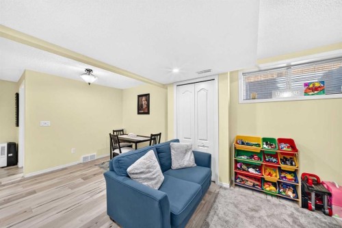 251 Skyview Point Road Ne, Calgary, AB - Indoor Photo Showing Basement