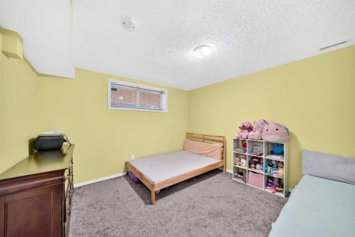 251 Skyview Point Road Ne, Calgary, AB - Indoor