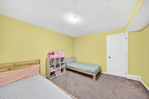 251 Skyview Point Road Ne, Calgary, AB - Indoor