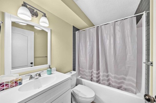 251 Skyview Point Road Ne, Calgary, AB - Indoor Photo Showing Bathroom
