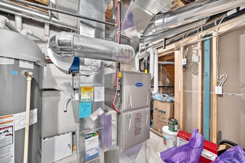 251 Skyview Point Road Ne, Calgary, AB - Indoor Photo Showing Basement