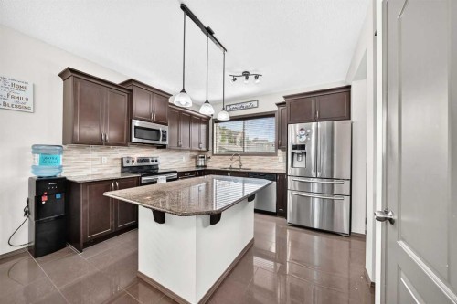251 Skyview Point Road Ne, Calgary, AB - Indoor Photo Showing Kitchen With Stainless Steel Kitchen With Upgraded Kitchen