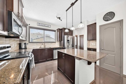 251 Skyview Point Road Ne, Calgary, AB - Indoor Photo Showing Kitchen With Stainless Steel Kitchen With Upgraded Kitchen
