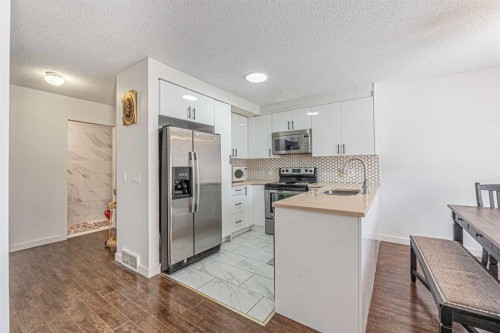 35 Martin Crossing Park Ne, Calgary, AB - Indoor Photo Showing Kitchen With Upgraded Kitchen