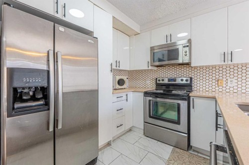 35 Martin Crossing Park Ne, Calgary, AB - Indoor Photo Showing Kitchen With Upgraded Kitchen