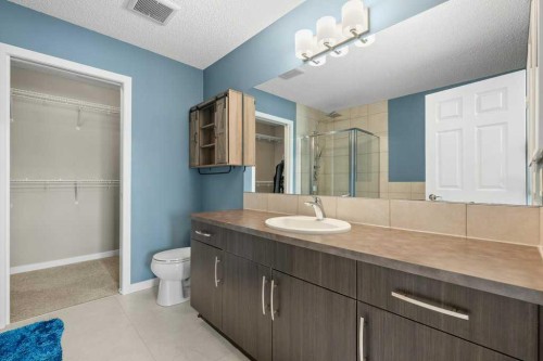 230 Auburn Crest Way Se, Calgary, AB - Indoor Photo Showing Bathroom