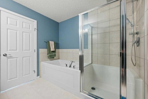230 Auburn Crest Way Se, Calgary, AB - Indoor Photo Showing Bathroom