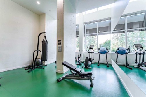 511-30 Brentwood Common Nw, Calgary, AB - Indoor Photo Showing Gym Room