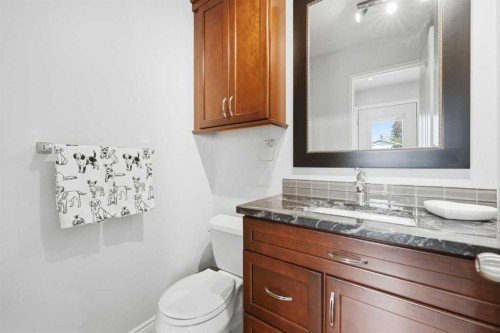 224 Erin Dale Place Se, Calgary, AB - Indoor Photo Showing Bathroom