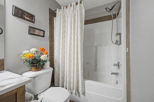 1600 Copperfield Boulevard Se, Calgary, AB - Indoor Photo Showing Bathroom