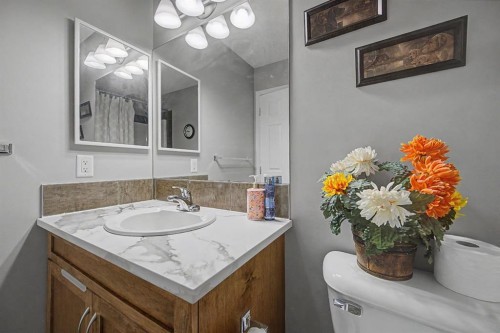 1600 Copperfield Boulevard Se, Calgary, AB - Indoor Photo Showing Bathroom
